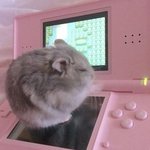 모고 영어 듣평 9번문제 어케풀어?