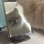 <b>통사</b> 7~8시간 벼락치기 가능?