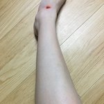 [드루와] 얘들아 나 횡단<b>보도</b>에서 넘어짐