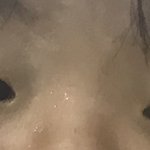 [드루와] 엄마 아이<b>셰도우</b>로 코 쉐딩함