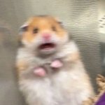 아니 ㅅㅃ 얘들아 썸남이 나 남친 있는 줄 아는데 어캄 ;;;;;