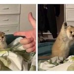 나 <b>쌍액</b> ㅈㄴ해서 눈살 늘어졌었는데