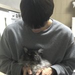 [댓글부탁해] <b>폴라로이드</b> 카메라 많이 비쌈??