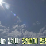 <b>뽀삐</b>에게 선물을 해 준 최우식