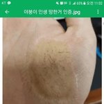 인생망한 야<b>갤러</b>