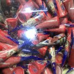 와 ㅅ발 아빠가 월드콘만은 죽어도 <b>사오</b>지마랬는데