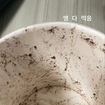 얘들아 너네 아이스크림 한통 새 거 하루<b>컷</b> ㄱㄴ?