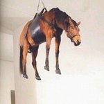 난태어난자체가