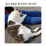 [댓글부탁해] <b>슈주</b> 덕질 오바냐