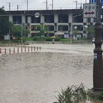 수재민 돕기 기부 <b>동참</b>한 연예인들