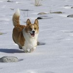 고1 땐 <b>문이</b>과 상관없이 다 챙겨야 해?