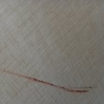 나 모기 죽였는데 벽에 <b>피</b> 조카 묻었어ㅠㅠㅠ