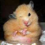 인스타 스토리 스티커? <b>필터</b>? 이거 있잖아