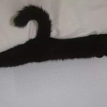 [19] 우리집 <b>옷걸이</b> 어때?