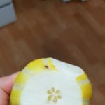 [EXO] 참외 깍다가