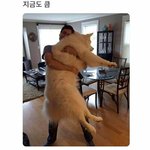 [댓글부탁해] 아이폰x사서 <b>xs</b>라고 말하는거 ㅇㄸ