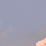 나 코 큰지 봐줘