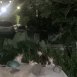 <b>중딩때</b>는 마냥 연애하고싶고