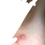 내 잘 익은 <b>쌀알</b> 드실분 ㅠㅠㅠ 제발제발