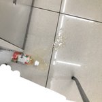 __ 복숭아 음료수 <b>흘림</b>