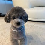 [드루와] 태민이 멜론  <b>챠트</b>인이 아니냐?