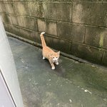 [드루와] 얘 진짜 어이없지 않냐 참나
