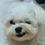 [댓글부탁해] 너네 친구 중에 말투 <b>특이</b>한 애 있어?