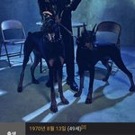 [이것좀봐줘] 이병헌 키 나무<b>위키</b>가 이상해게해둠ㅠㅋㅋㅋ