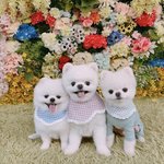 [댓글부탁해] 내신,대학 버리고 <b>공무원</b> <b>준비</b> 어떻게 생각해