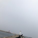 [모두드루와] <b>지호</b> 뽀쨕한 여행기