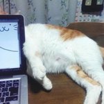 얘드라 고1 ㅈㄴ아싸인데 괜찮을까...ㅋㅋ