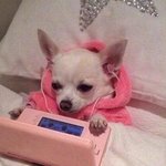 와 <b>쯔양</b> 방송 그만한대