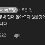 <b>쯔양</b> ㄹㅇ 못 박네