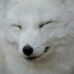 인<b>팁들</b>아 너네 눈물 없음?