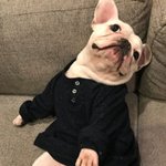 살림 <b>똥손</b>의 세탁기 대참사