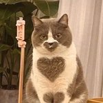 허벅지 <b>안쪽</b> 빼는 거