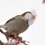 연애의 <b>장점</b>