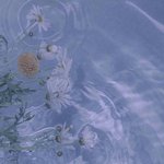 이틀 <b>벼락</b>치기로 100점 맞은썰 푼다