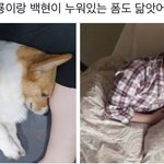 ㄹㅇ 부전<b>자전</b>