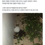 [TXT모아] 험한이름 뭔데ㅋㅋㅋㅋㅋㅋ
