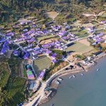 [방탈죄송] 여행지로 홍보하는 신안 퍼플섬 노예사건