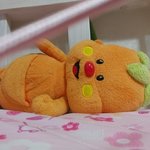 <b>겨</b>털 <b>제모</b>크림 하고 따로 크림 안발라줘도 되지??