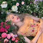 [댓글부탁해] 이거 <b>생기부</b>에 넣기에 너무 어거지임?