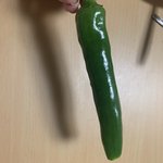 지금 고<b>츄</b> 먹는중