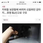 [19] 양팡 지하철 강아지 구조 <b>의혹</b>