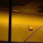 [댓글부탁해] 친구들이랑 봉 공포 영화 추천해주랑