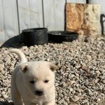 아니 가오잡는 애들 ㅈㄴ 웃김