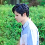 사랑은 자해다