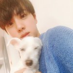 [모두드루와] 방탄 <b>진</b> ㄹㅇ 최고의 신랑감 아님?