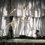 컴백 예고…오묘한 분위기의 ‘DONGKIZ COMING <b>SOON</b>’